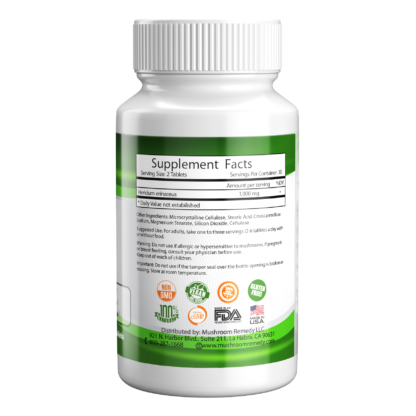 mushroom_remedy_pro_nerve_brain_right