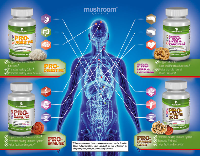 mushroom remedy product overview