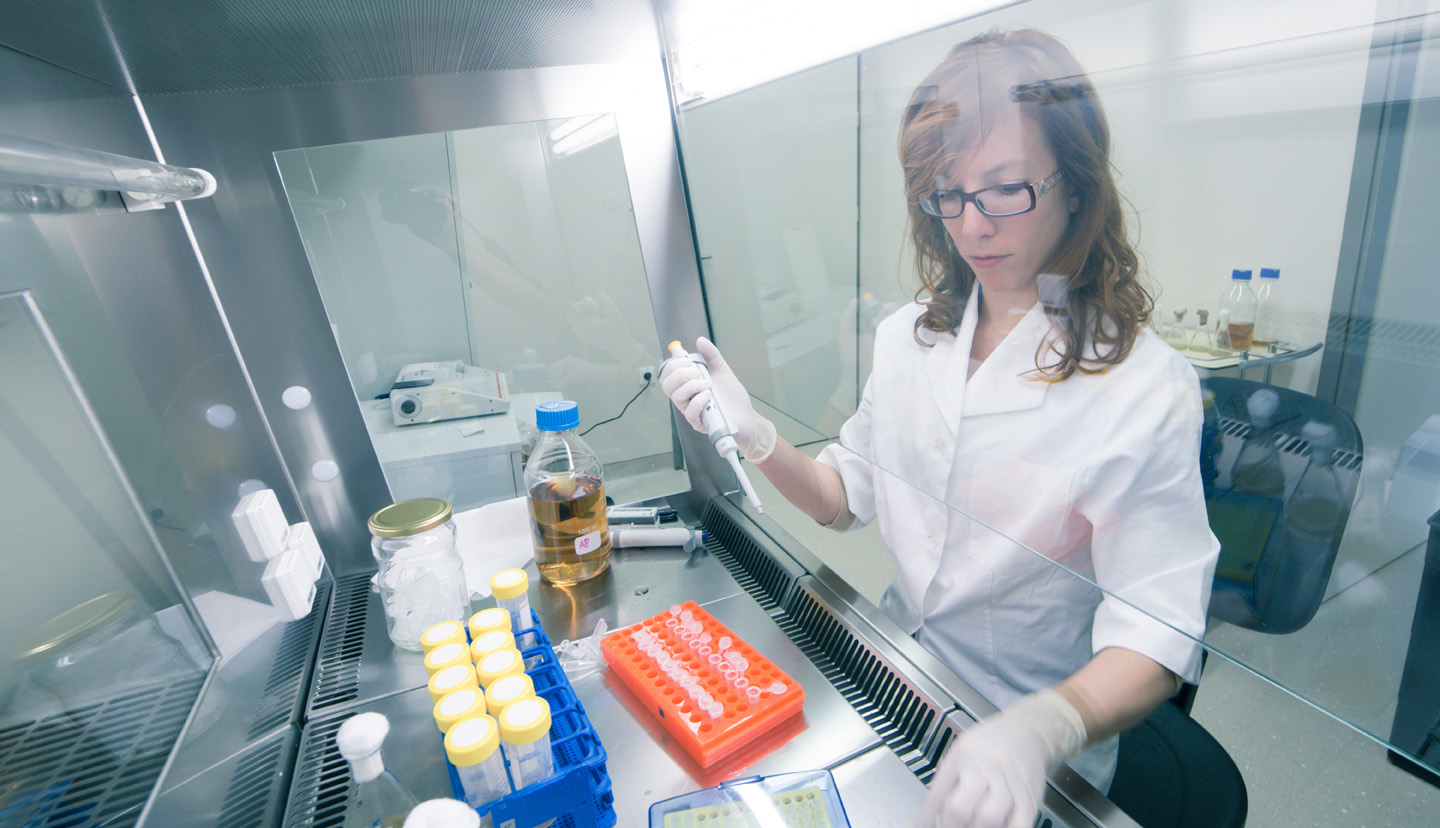 Mushroom Remedy Mushroom Remedy the Best of Nature We Make the