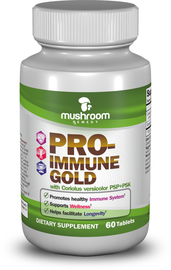 The Best Mushroom Supplement On The Market Mushroom Remedy